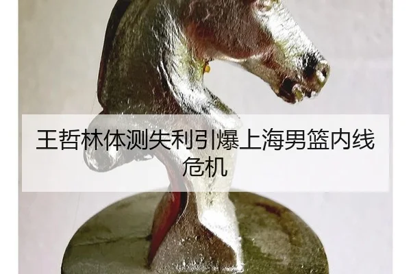 wang-zhe-lin-ti-ce-shi-li-yin-bao-shang-hai-nan-lan-nei-xian-wei-ji-2-452.jpg